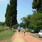Kiara *